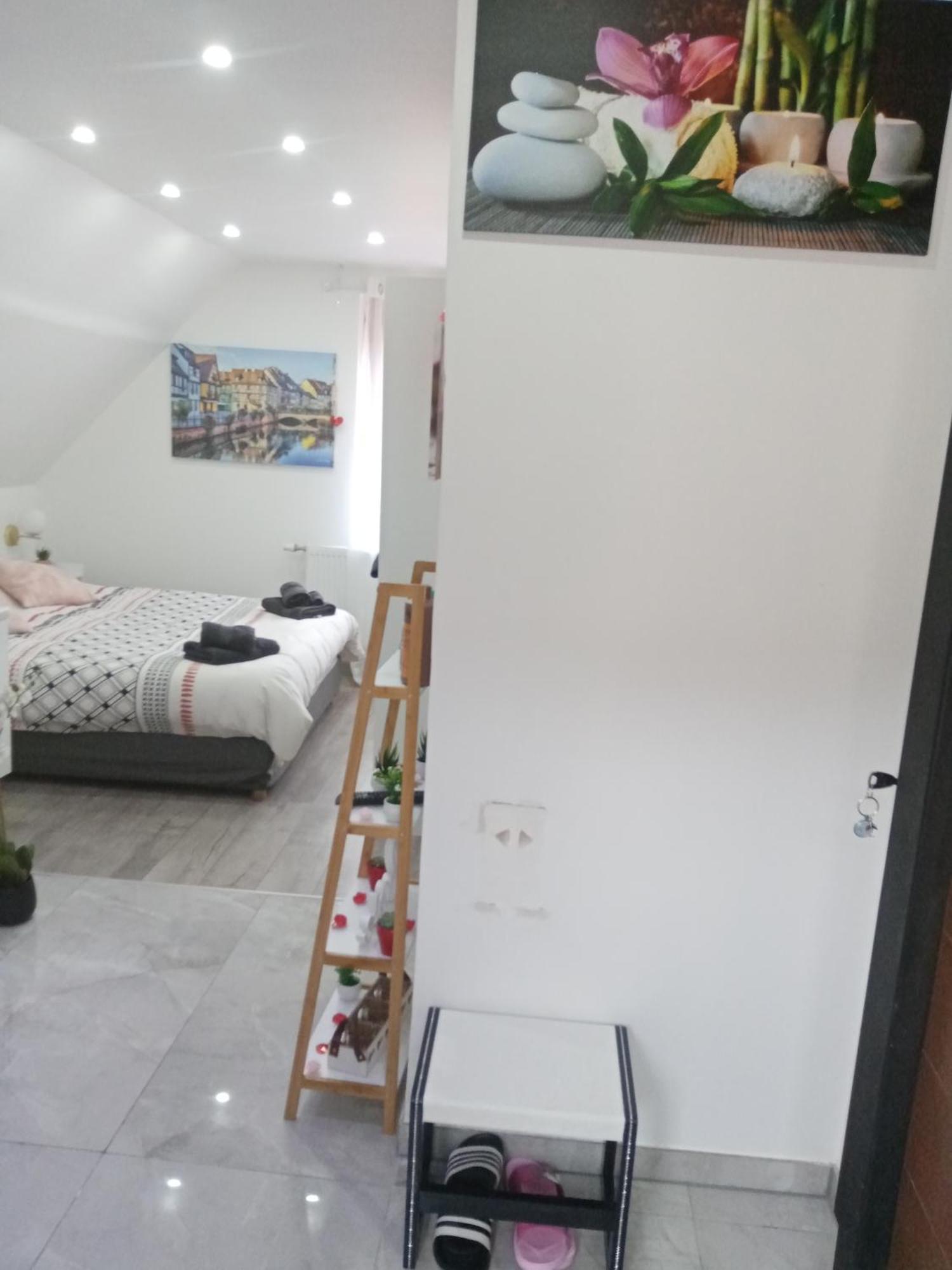 Studio Jacuzzi au centre Colmar Chambre photo